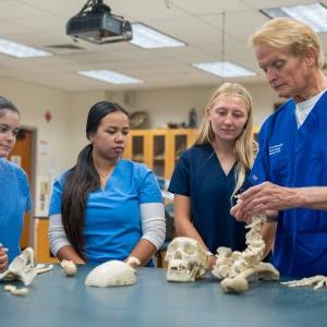 Anatomy professor teaching students about the skeleton