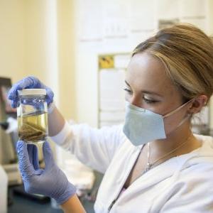Science student wearing a mask in the lab with a Newt in a jar