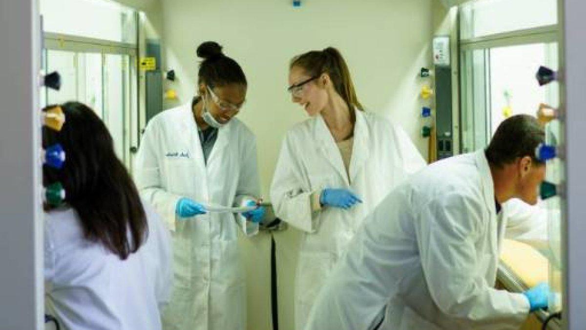 four students doing a lab in lab gear